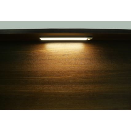 Globo - Luz LED regulável para armário de cozinha LED/1,4W/5V 4000K 1100 mAh 24 cm