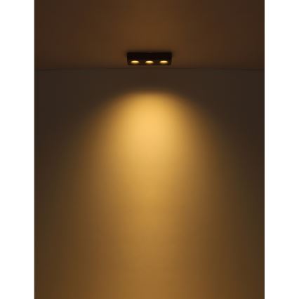 Globo - Iluminação de teto LED LED/14W/230V 11,7x33,2 cm
