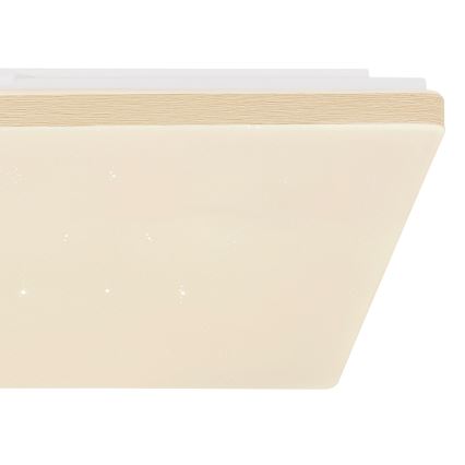 Globo - Iluminação de teto LED com regulação LED/24W/230V Wi-Fi Tuya + CR