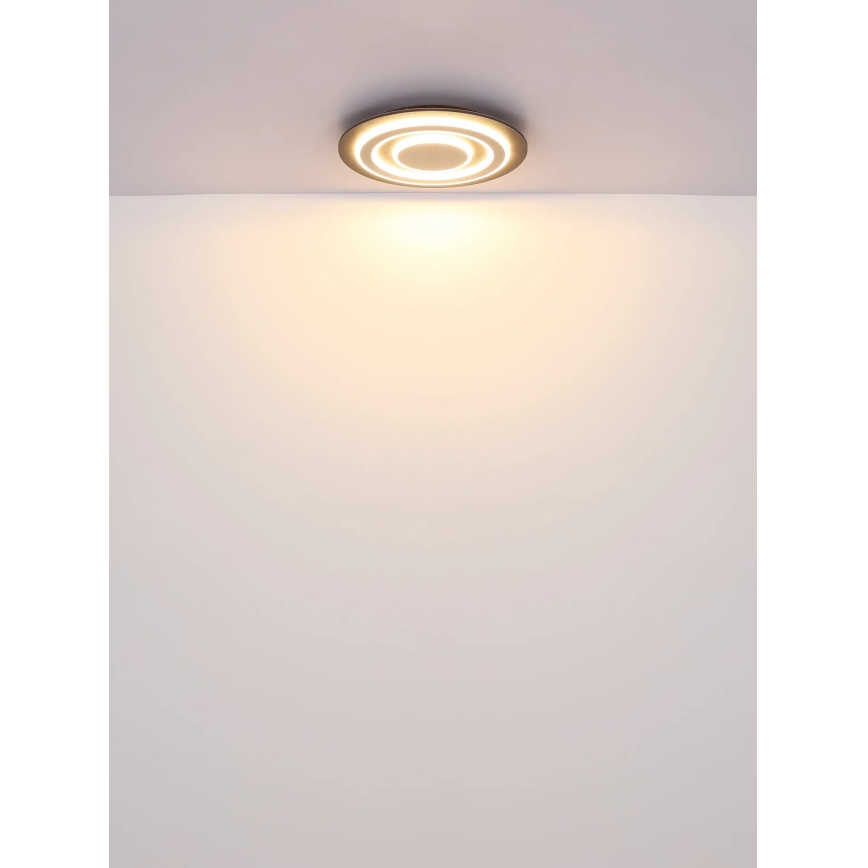 Globo - Iluminação de teto LED LED/24W/230V 3000K diâmetro 32 cm antracite