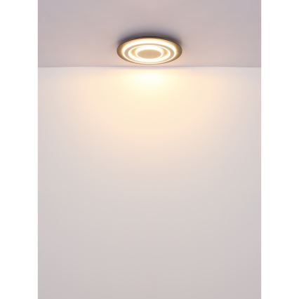 Globo - Iluminação de teto LED LED/24W/230V 3000K diâmetro 32 cm