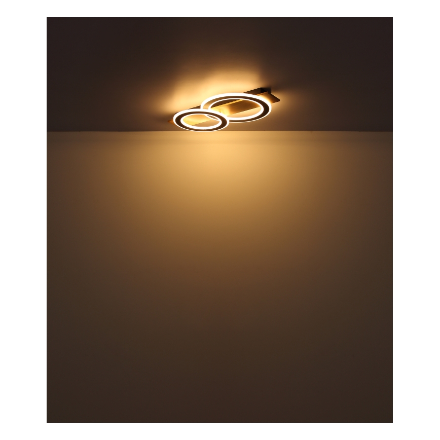 Globo - Iluminação de teto LED LED/40W/230V 3000K 35x63 cm