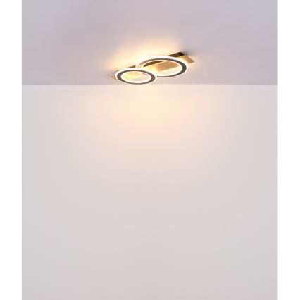 Globo - Iluminação de teto LED LED/40W/230V 3000K 35x63 cm