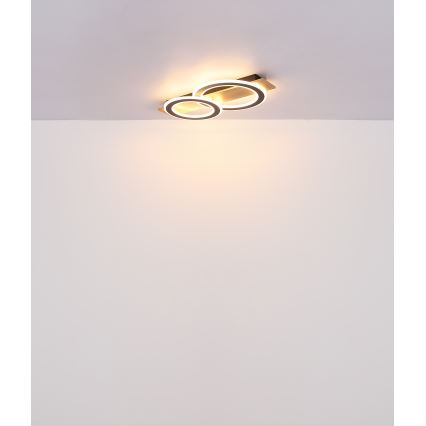Globo - Iluminação de teto LED LED/40W/230V castanho