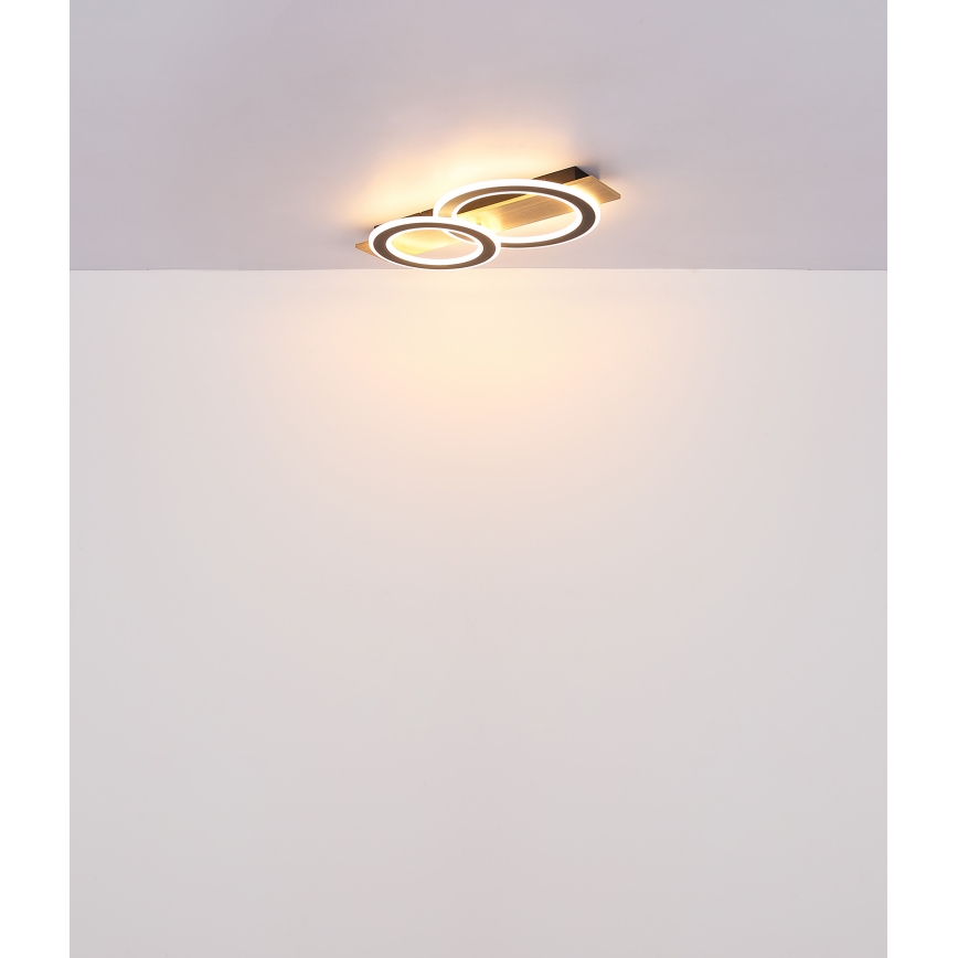 Globo - Iluminação de teto LED LED/40W/230V castanho