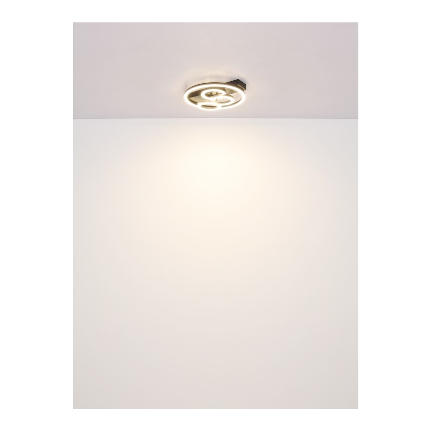 Globo - Iluminação de teto LED com regulação LED/40W/230V 2700-6500K diâmetro 35x33 cm + comando