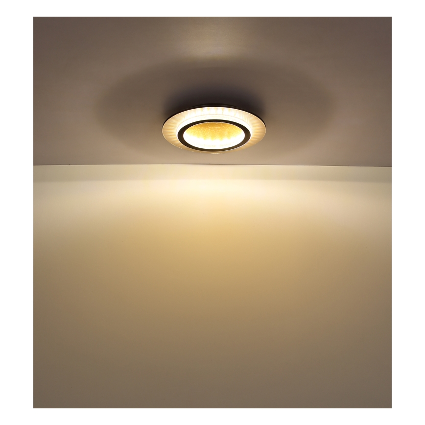 Globo - Candeeiro de tecto LED LED/24W/230V 3000/4000/6500K Ø 35 cm preto