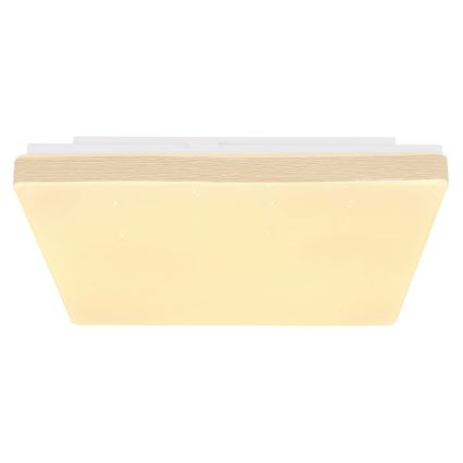 Globo - Iluminação de teto LED LED/12W/230V