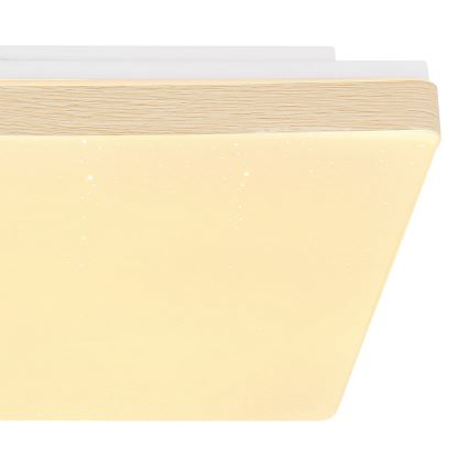 Globo - Iluminação de teto LED LED/12W/230V