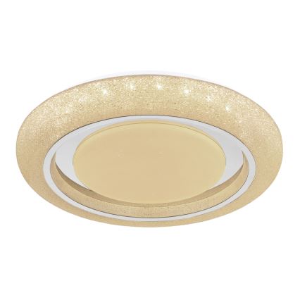 Globo 483111-40 - Iluminação de teto LED RADA LED/40W/230V 2700/4200/6500K diâmetro 49 cm
