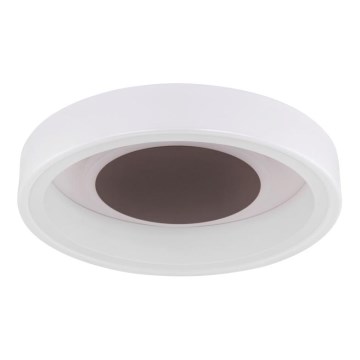 Globo 48398-24 - Iluminação de teto LED GOFFI LED/30W/230V