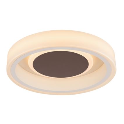 Globo 48398-24 - Iluminação de teto LED GOFFI LED/30W/230V