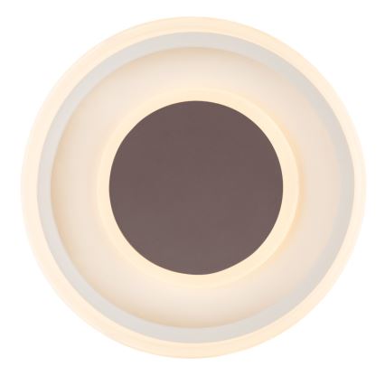 Globo 48398-24 - Iluminação de teto LED GOFFI LED/30W/230V