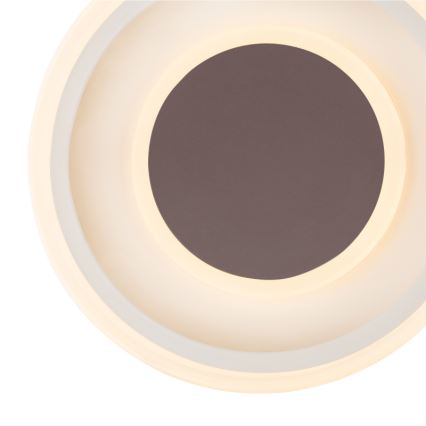 Globo 48398-24 - Iluminação de teto LED GOFFI LED/30W/230V