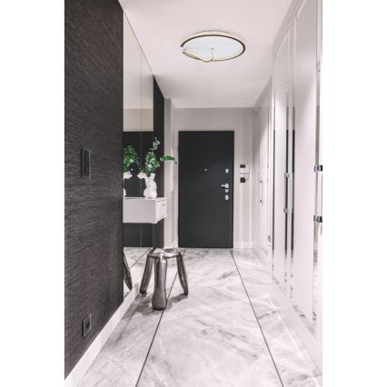 Globo - Iluminação de teto LED com regulação RODAN LED/50W/230V 3000-6000K + comando