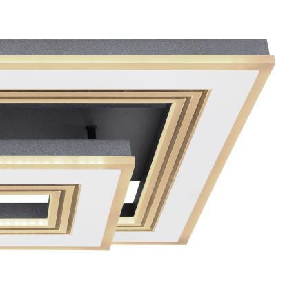 Globo - Iluminação de teto LED com regulação LED/50W/230V 2700-6000K + comando