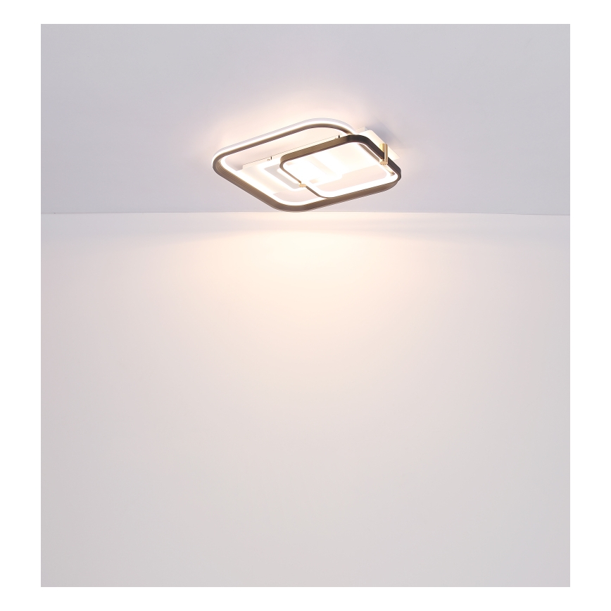 Globo 48459-48 - Candeeiro de teto LED dimerizável ANI LED/48W/230V 2700-6000K 48x52 cm + comando remoto