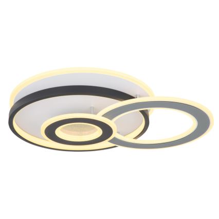 Globo 48552D4 - Candeeiro de tecto LED BRIENNA LED/40W/230V 43x52 cm branco/cinzento