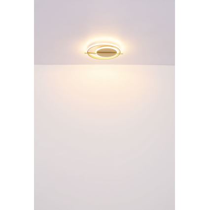 Globo - Iluminação de teto LED LED/36W/230V