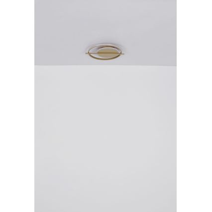 Globo - Iluminação de teto LED LED/36W/230V