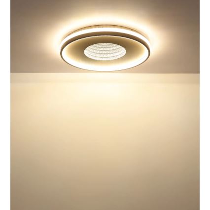 Globo - Luminária de teto LED dimerizável 40W/230V 2700–6500K Ø 50,5 cm + comando remoto