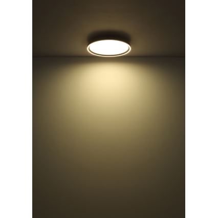 Globo - Iluminação de teto LED com regulação LED/48W/230V 2700-6000K + comando diâmetro 50 cm