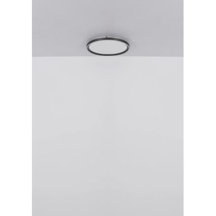 Globo - Iluminação de teto LED com regulação LED/48W/230V 2700-6000K + comando diâmetro 50 cm