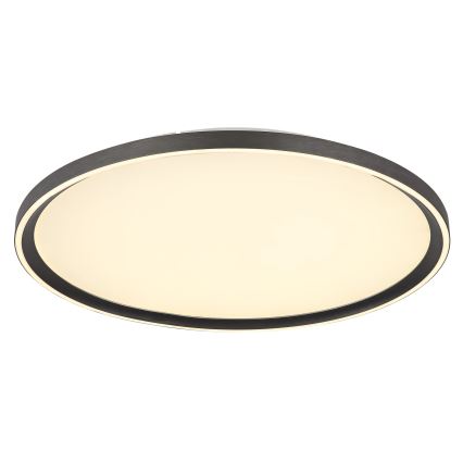 Globo - Iluminação de teto LED com regulação LED/48W/230V 2700-6000K + comando diâmetro 50 cm