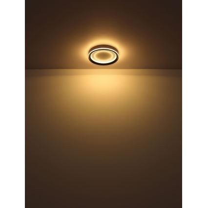 Globo - Iluminação de teto LED com regulação LED/24W/230V 2700-6000K + controlo remoto