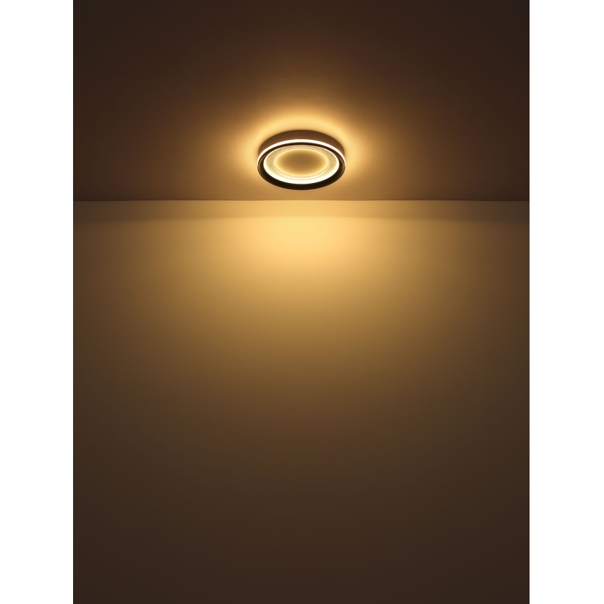 Globo - Iluminação de teto LED com regulação LED/24W/230V 2700-6000K + controlo remoto