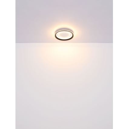 Globo - Iluminação de teto LED com regulação LED/24W/230V 2700-6000K + controlo remoto