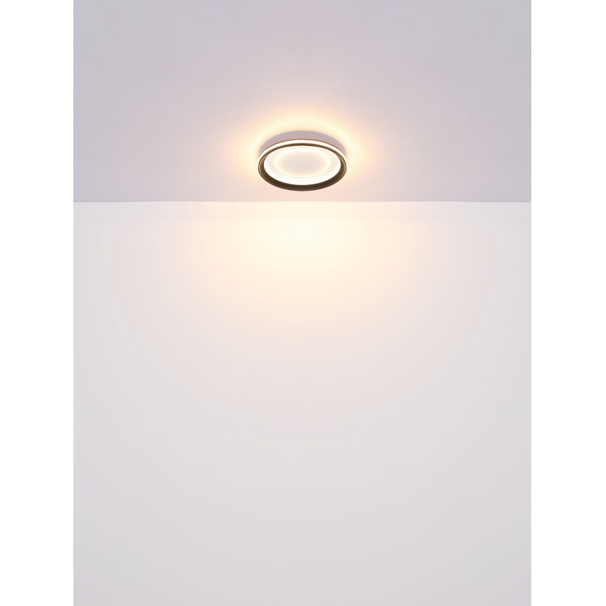 Globo - Iluminação de teto LED com regulação LED/24W/230V 2700-6000K + controlo remoto