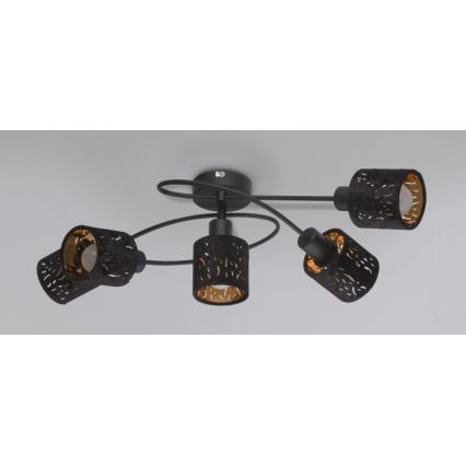 Globo - Candelabro integrado 5xE14/8W/230V