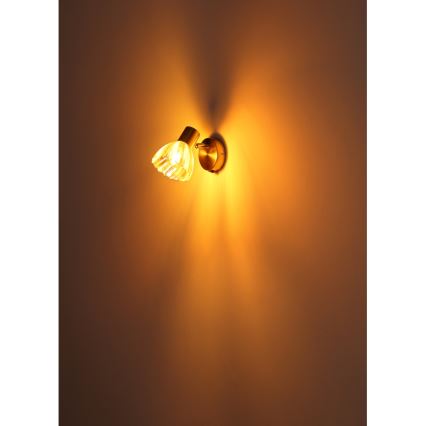 Globo - Foco de parede 1xE14/40W/230V dourado
