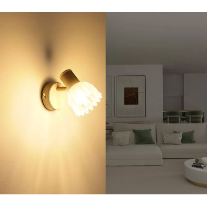 Globo - Aplique de parede com foco 1xE14/40W/230V