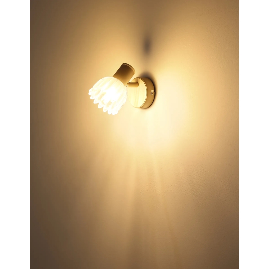 Globo - Aplique de parede com foco 1xE14/40W/230V