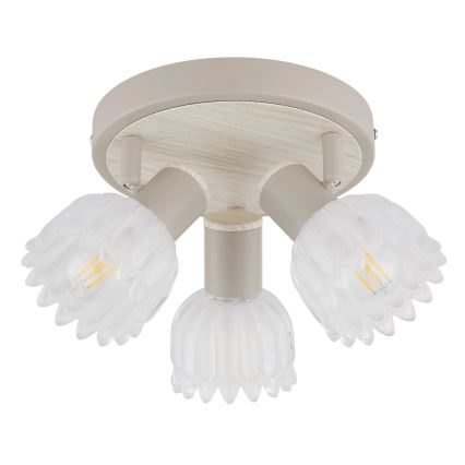 Globo - Candeeiro de focos 3xE14/40W/230V