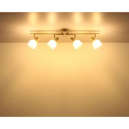 Globo - Candeeiro de focos 4xE14/40W/230V