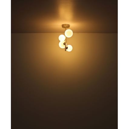 Globo - Candeeiro suspenso LED 4xG9/3W/230V cromado mate