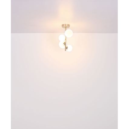 Globo - Candeeiro suspenso LED 4xG9/3W/230V cromado mate