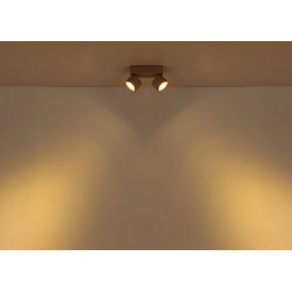 Globo - Candeeiro de focos LED 2xLED/6W/230V