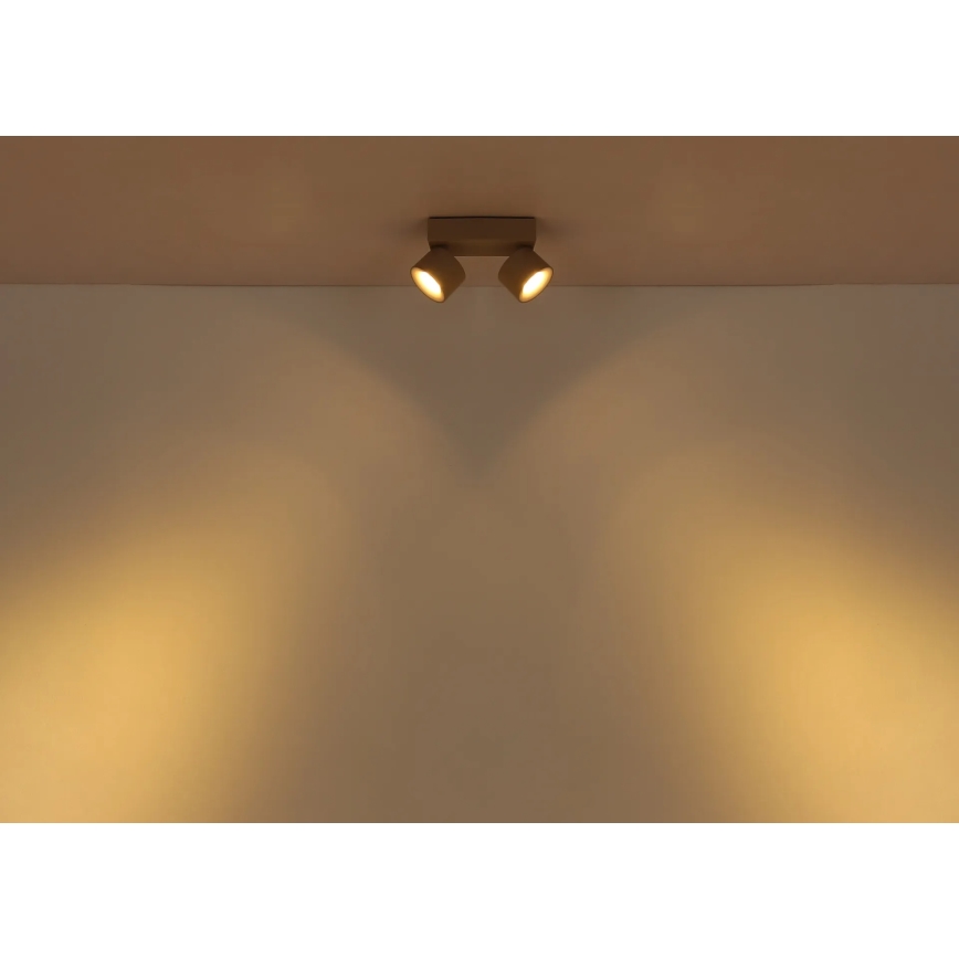 Globo - Candeeiro de focos LED 2xLED/6W/230V