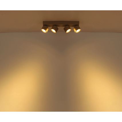 Globo - Candeeiro de focos LED 4xLED/6W/230V