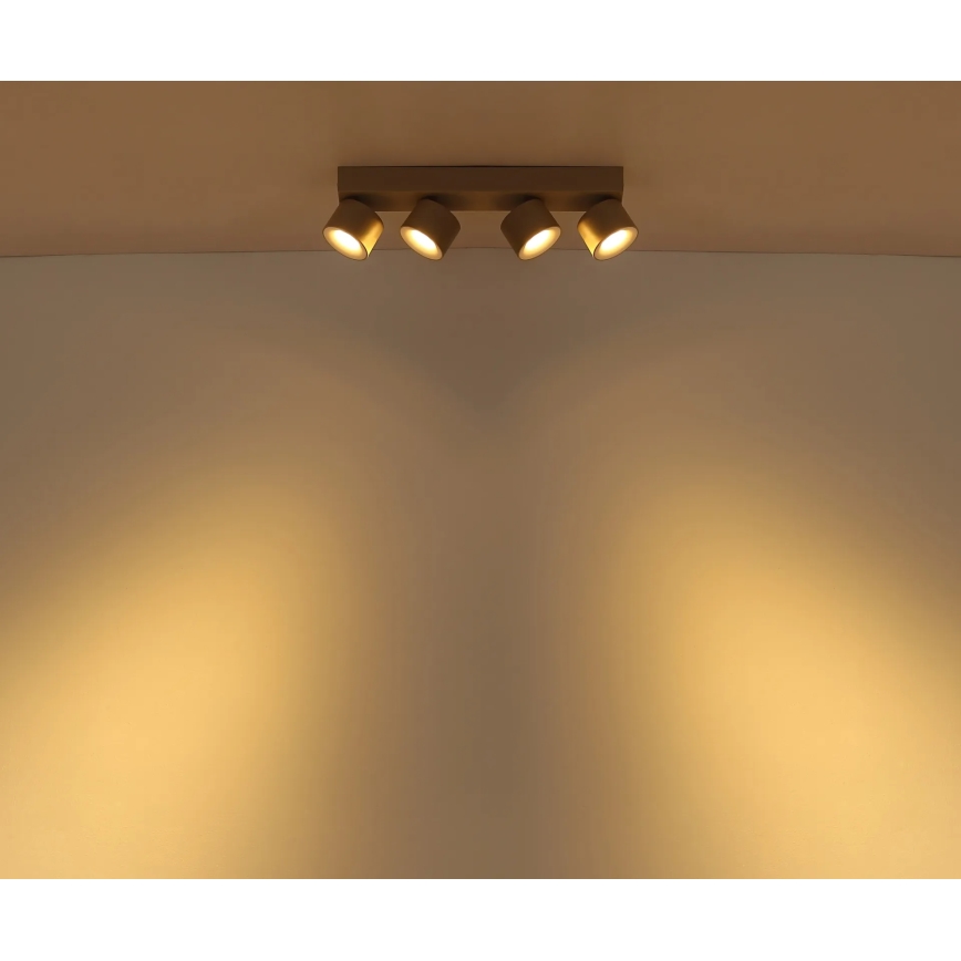 Globo - Candeeiro de focos LED 4xLED/6W/230V