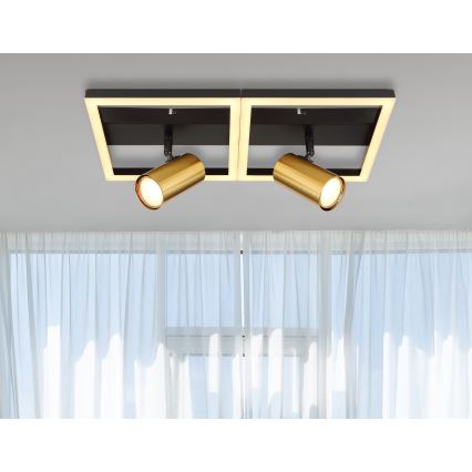 Globo - Iluminação de teto LED 2xGU10/5W/230V + LED/22W/230V