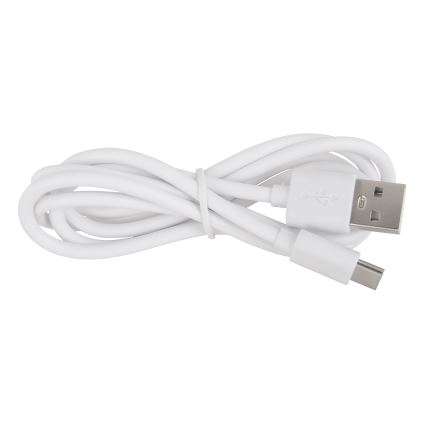 Globo - Candeeiro de exterior tátil LED regulável LED/3W/3,7V IP44 1800 mAh USB branco