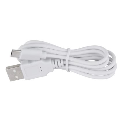 Globo - Candeeiro de mesa táctil LED com regulação LED/1W/3,7V 3000K 1800 mAh USB branco
