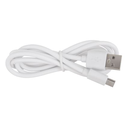 Globo - Candeeiro de mesa LED tátil para exterior flexível com regulação LED/2W/5V 3000/4000/6000K 2200 mAh IP44 branco