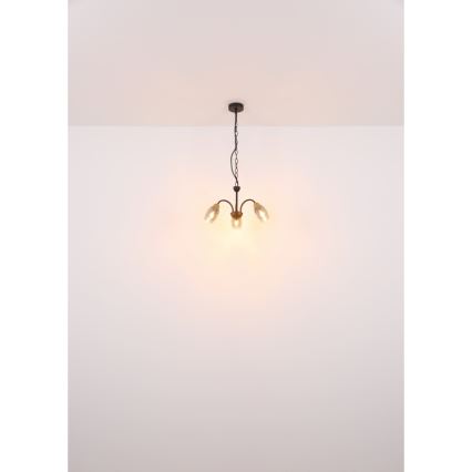 Globo - Candelabro suspenso 3xE14/25W/230V