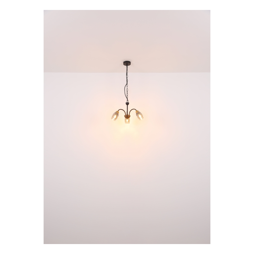 Globo - Candelabro suspenso 3xE14/25W/230V
